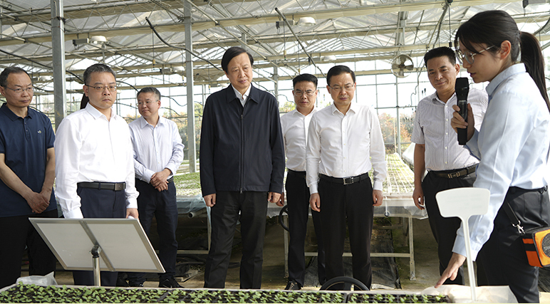 张建民在安徽烟草调研时强调 坚定不移推动高质量发展和现代化建设 为谱写中国式现代化安徽篇章作出新贡献